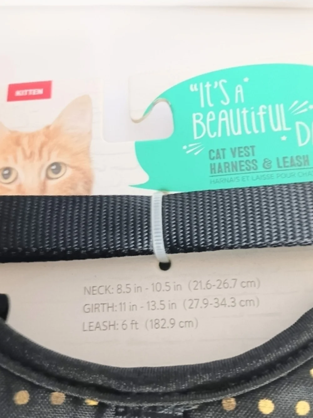 Whisker City whisker city